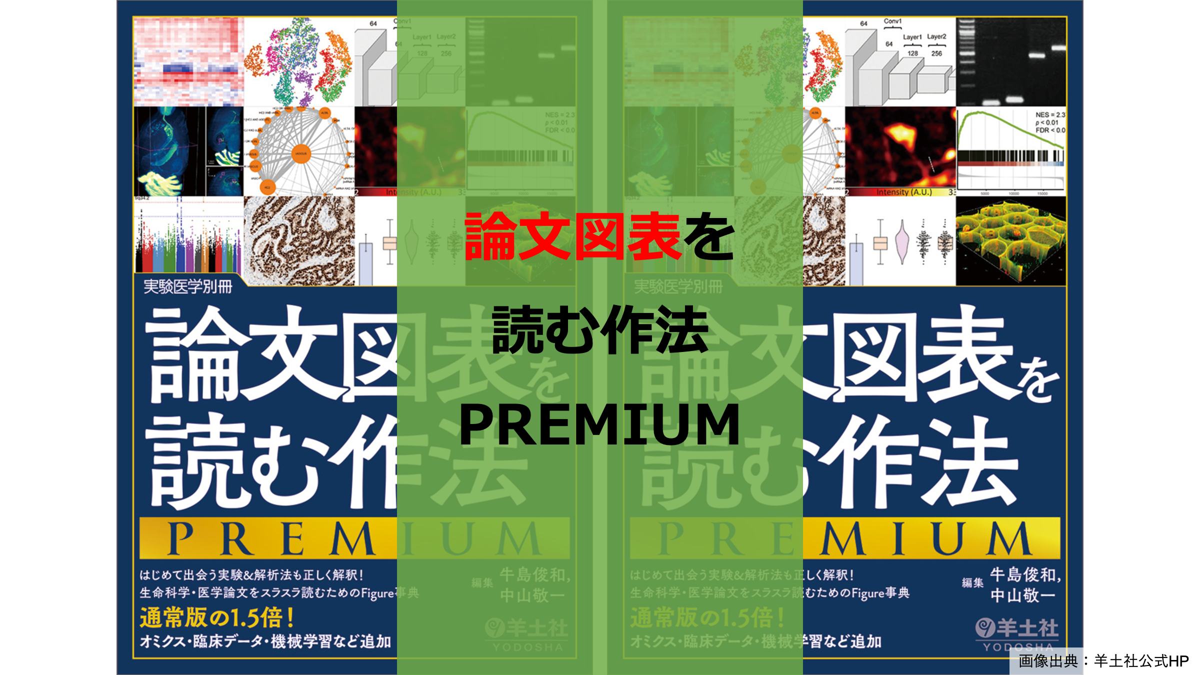図表解釈のための「共通言語」をくれる一冊『論文図表を読む作法